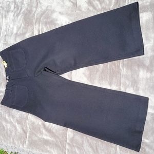 LIKE NEW Anthropologie High Waist Wide Leg Pants